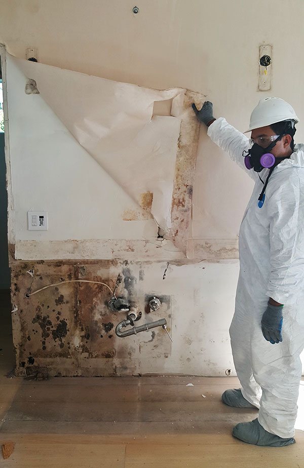 Mold Removal From Home is West Palm Beach