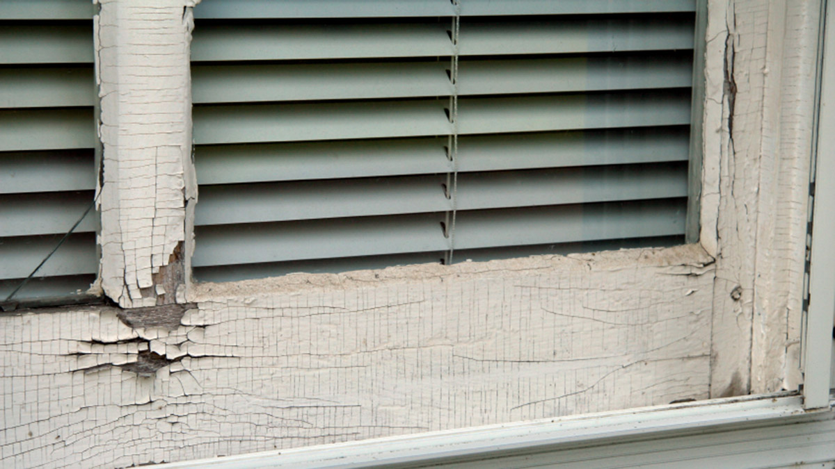 Lead Paint Removal Specialist Lead Paint Removal Specialist