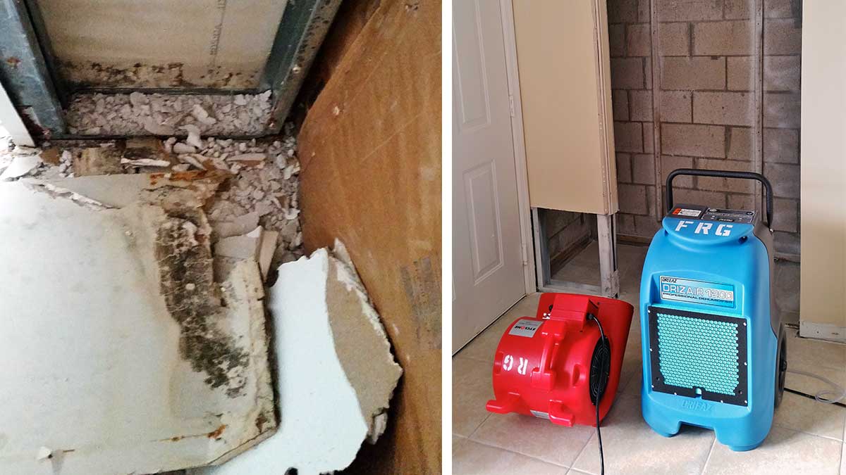 Mold Removal Remediation By Fundisa Restoration In Palm Beach Florida Mold Removal Process