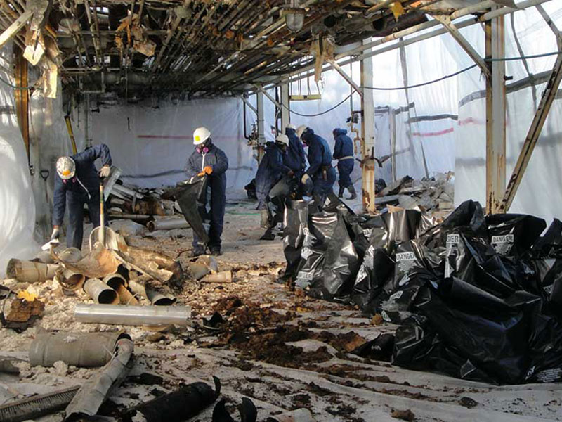 Asbestos Removal Services