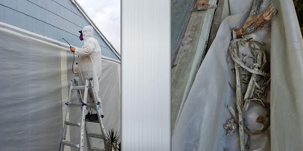 Asbestos Removal Process