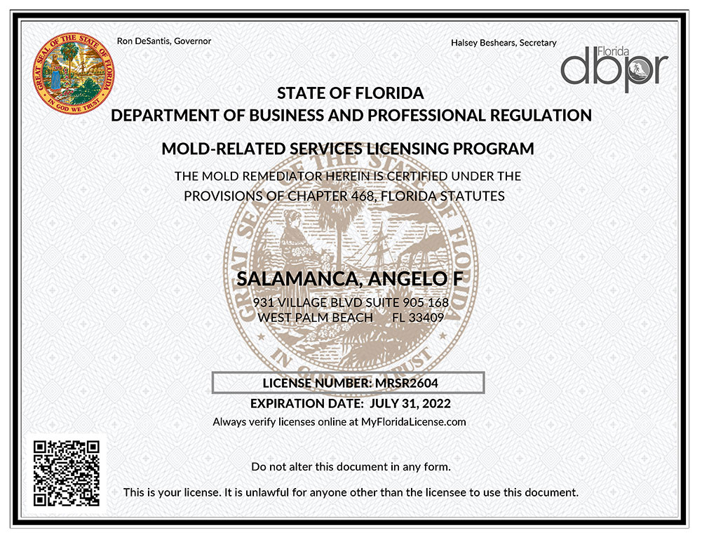 Mold Remediator Certificate